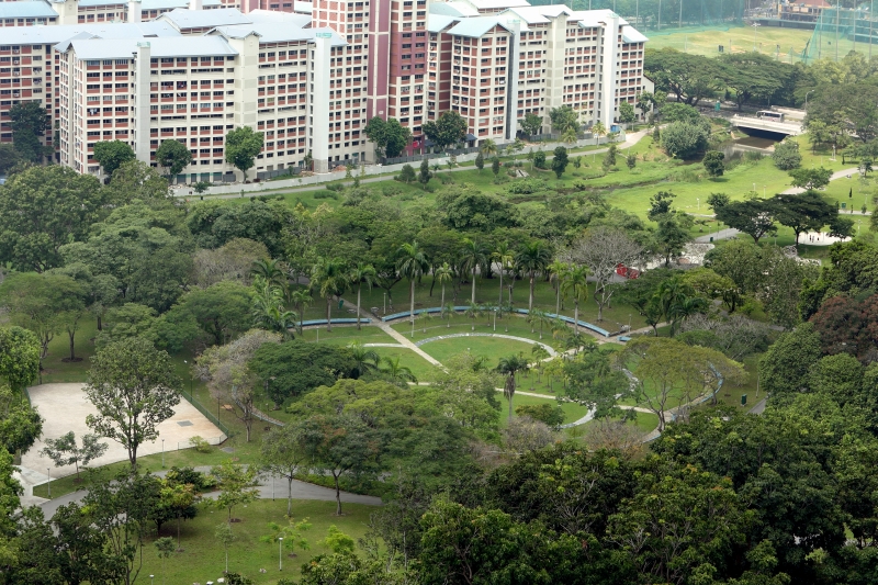 Bishan-Ang Mo Kio Park Adventure Playground, Along Bishan Road and Ang Mo Kio Ave 1, Singapore 569981