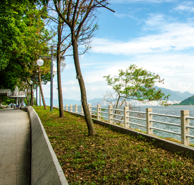 Tree-lined waterfront path at Tai Po Waterfront Park