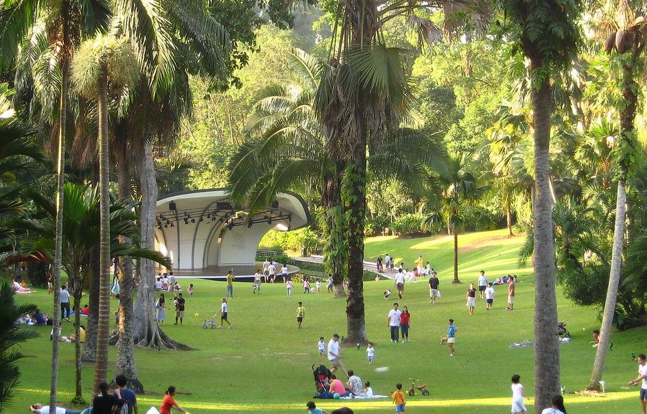 Best Sheltered Picnic Areas And Spots In Singapore Little Steps