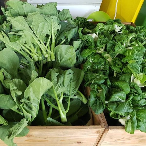 Vegetables Picked From Bollywood Veggies