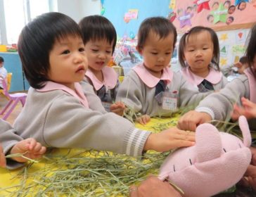 Box Hill Infant And Toddler New Programs In Hong Kong