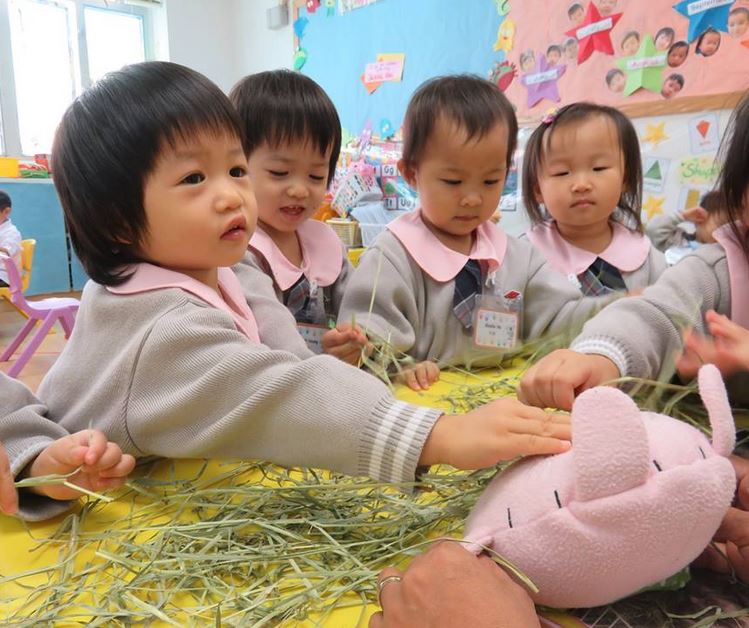 Box Hill's New Programs - Hong Kong - Little Steps Asia