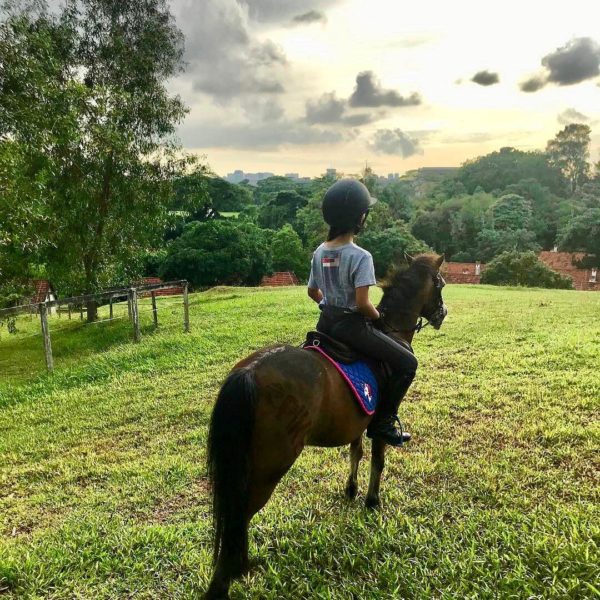 Girl Riding A Horse At Bukit Timah Saddle Club