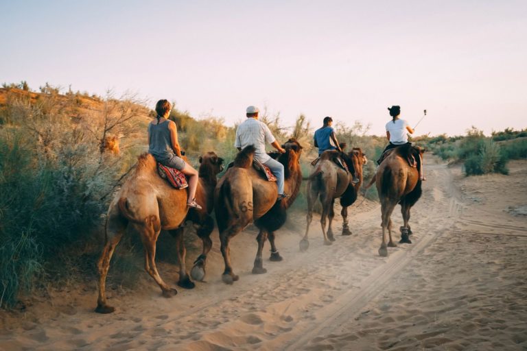 People Riding Camels