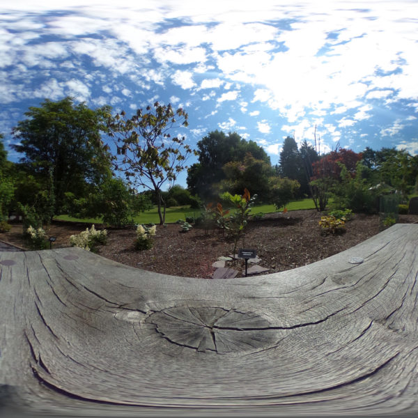 Chinese Gardens Lakeside Skatepark