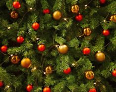 Where to buy Christmas Trees and Decorations In Jakarta