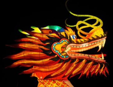 International Dragon and Lion Dance Extravaganza