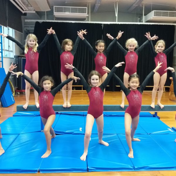 Little Girl Gymnasts At ESF Sports Hong Kong