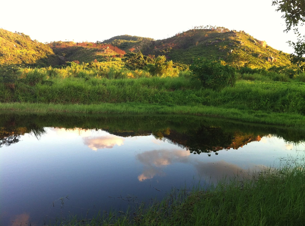 Erickson Organic Farm, Hong Kong