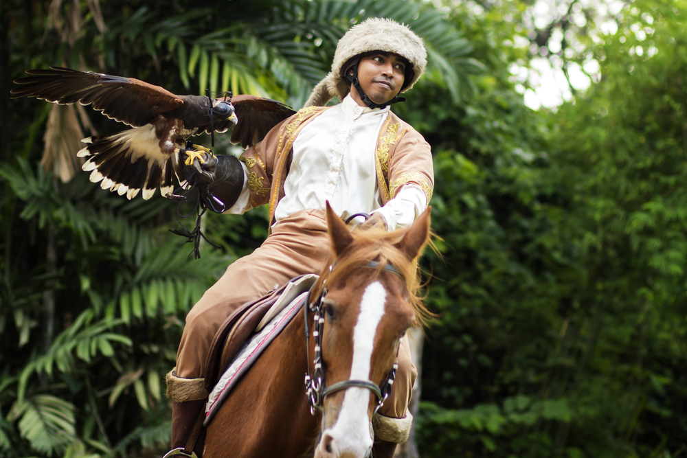 Be a Falconer In Singapore