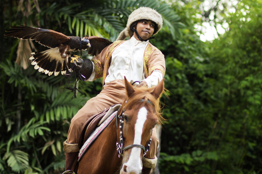 Be a Falconer In Singapore