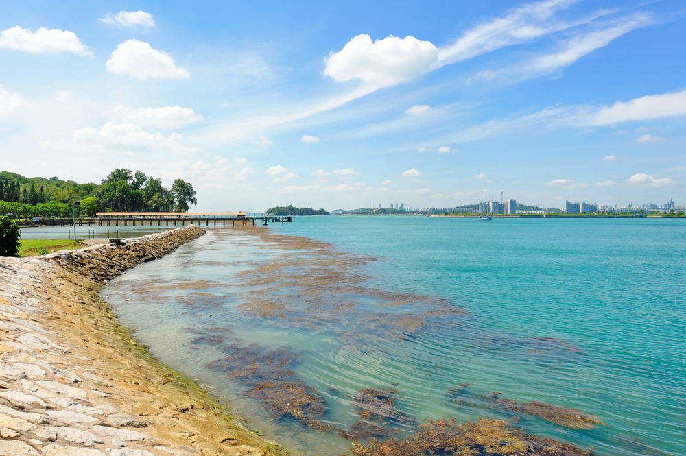 St Johns Beach In Singapore