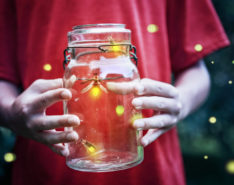 Firefly Hiking Trail Hong Kong