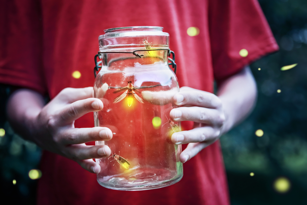 Firefly Hiking Trail Hong Kong