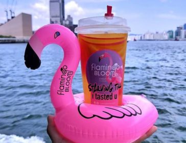 Flamingo Bloom In Hong Kong