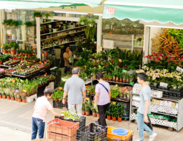 Guide To The Flower Market In Mongkok – Opening Times, Flowers, How To Get There?