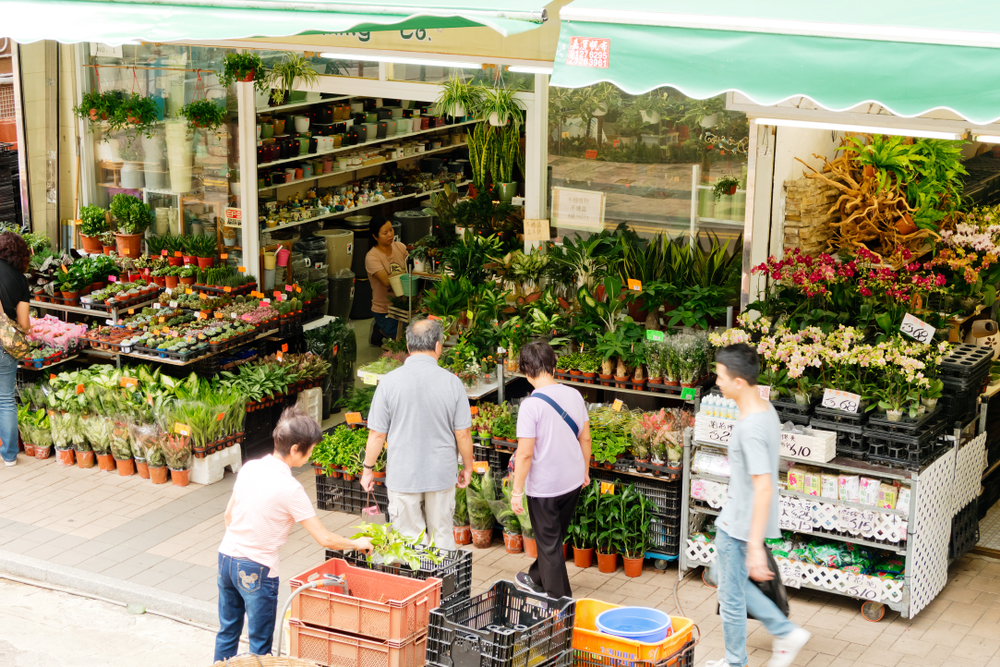 Visiting the flower market in Mongkok