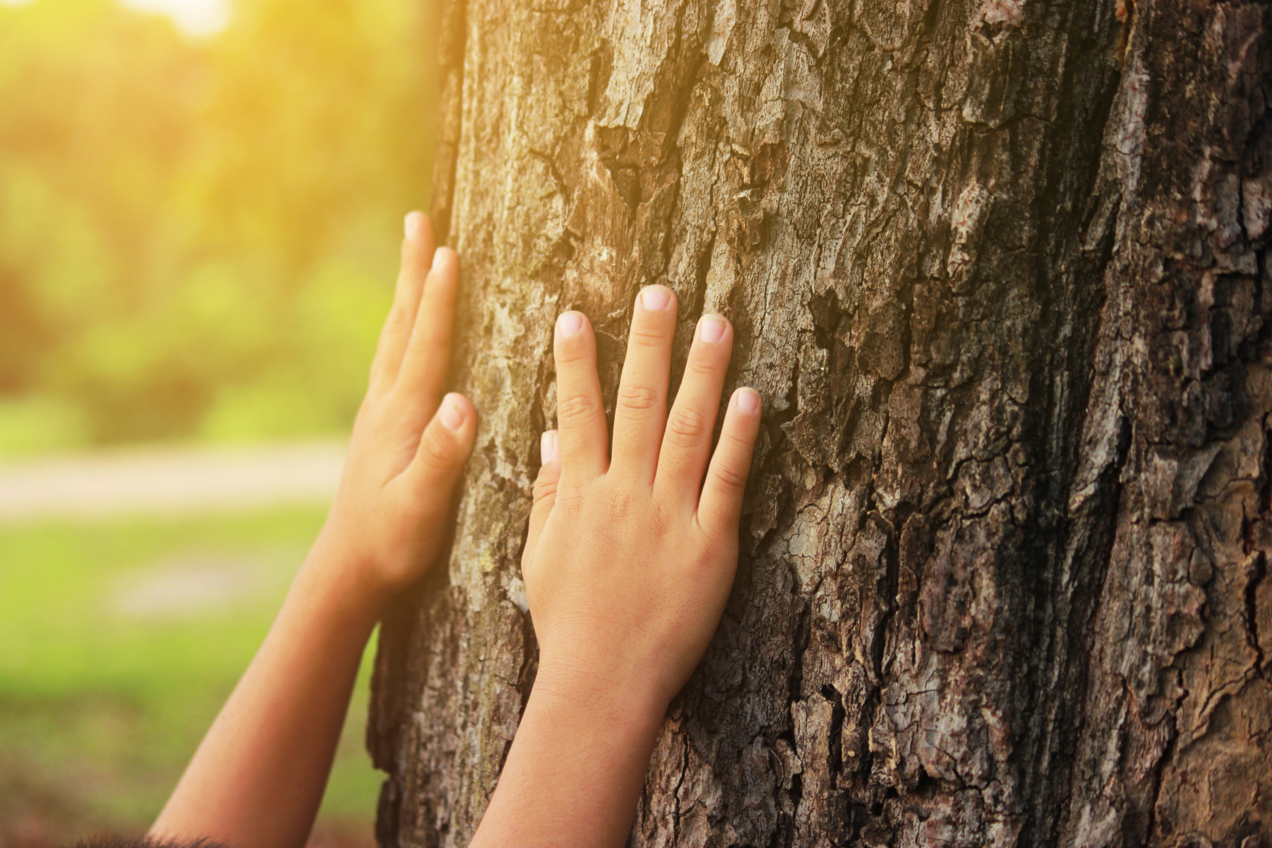 Forest schools in Hong Kong