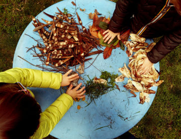 Forest Schools In Singapore And Nature-Based Education