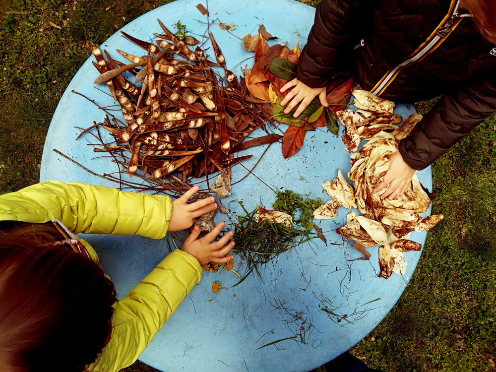 Forest Schools In Singapore