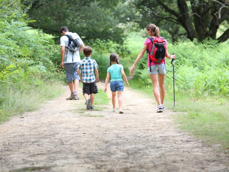 Hiking Trails Singapore