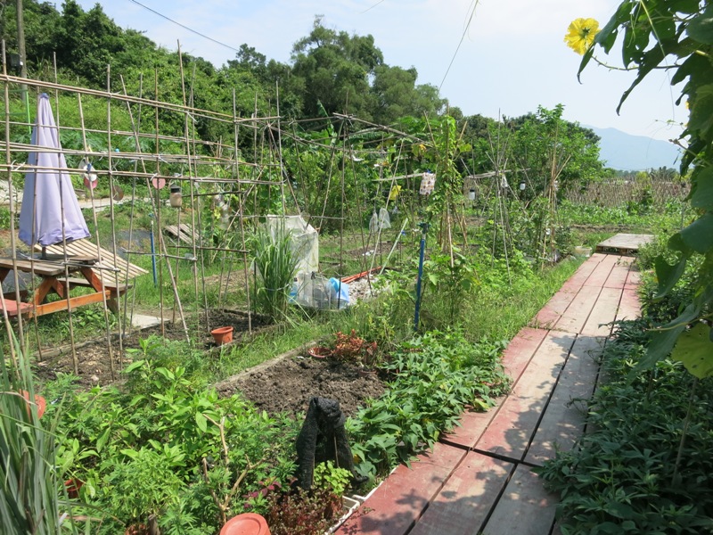 Fruitful Organic Farm, Hong Kong