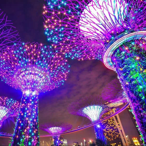 Gardens By The Bay Singapore