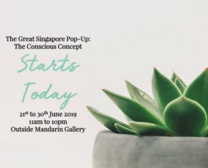 Great Singapore Street Pop-Up For Shopping Fun