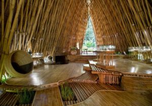 Eco-Friendly Tours and Workshops At Green Village