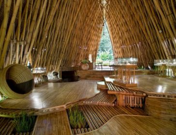 Eco-Friendly Tours and Workshops At Green Village