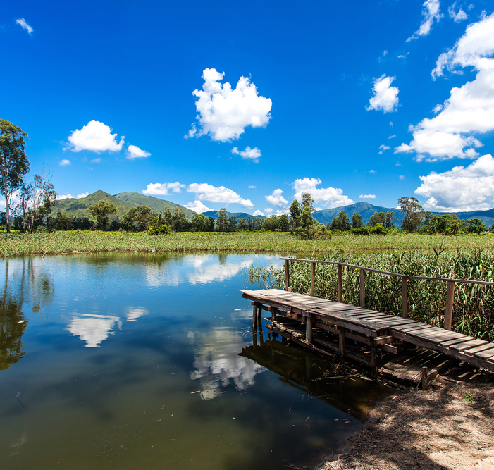 Wetland Park In Yuen Long, Hong Kong