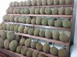 Enjoy Durians at HAO CHI DURIAN