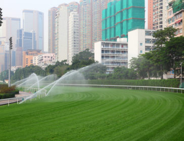 Happy Valley Racecourse For Kids Play