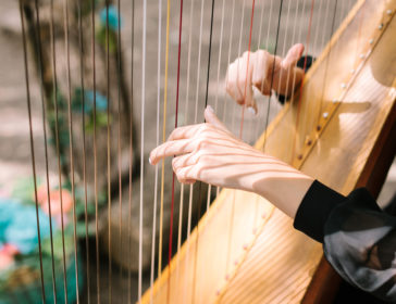 Harp Lessons For Kids At Harp Chamber In Hong Kong