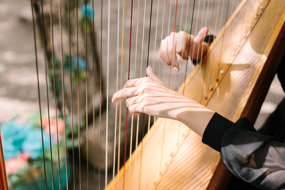 Learn To Play The Harp