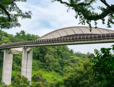 Henderson Waves And Southern Ridges Walk In Singapore