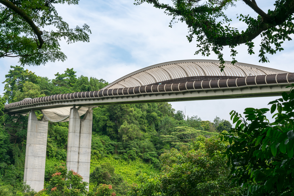 Henderson Waves In Singapore