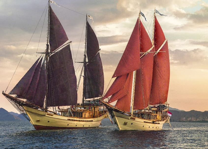 Hong Kong Sailing Guide Courses, Clubs, Boat Rental Little Steps