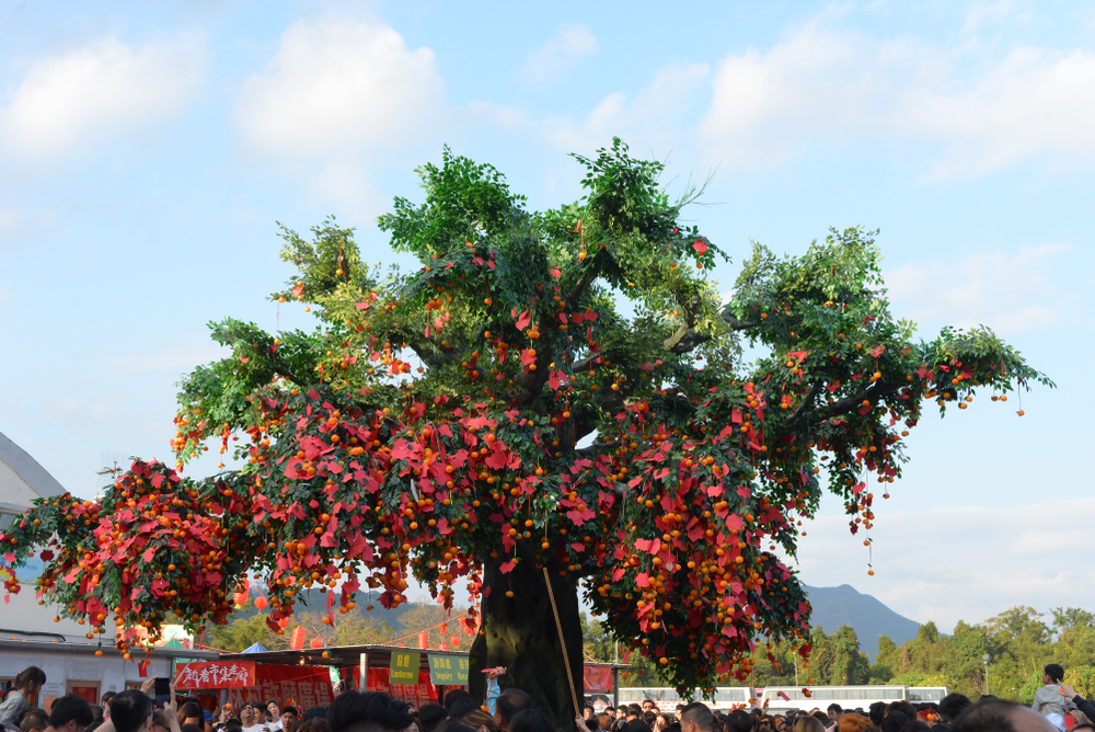 Hong Kong Well Wishing Festival