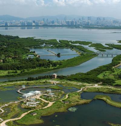 Hong Kong Wetland Park