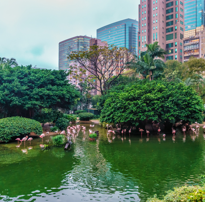 Kowloon: Kowloon Park