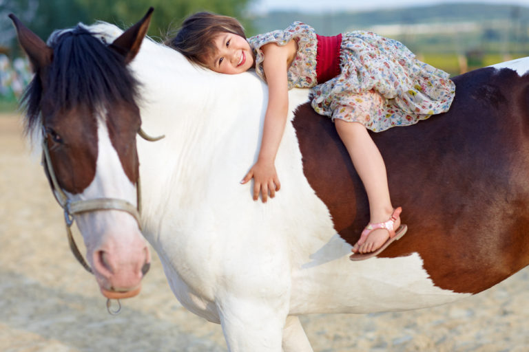 Horse Riding In Hong Kong