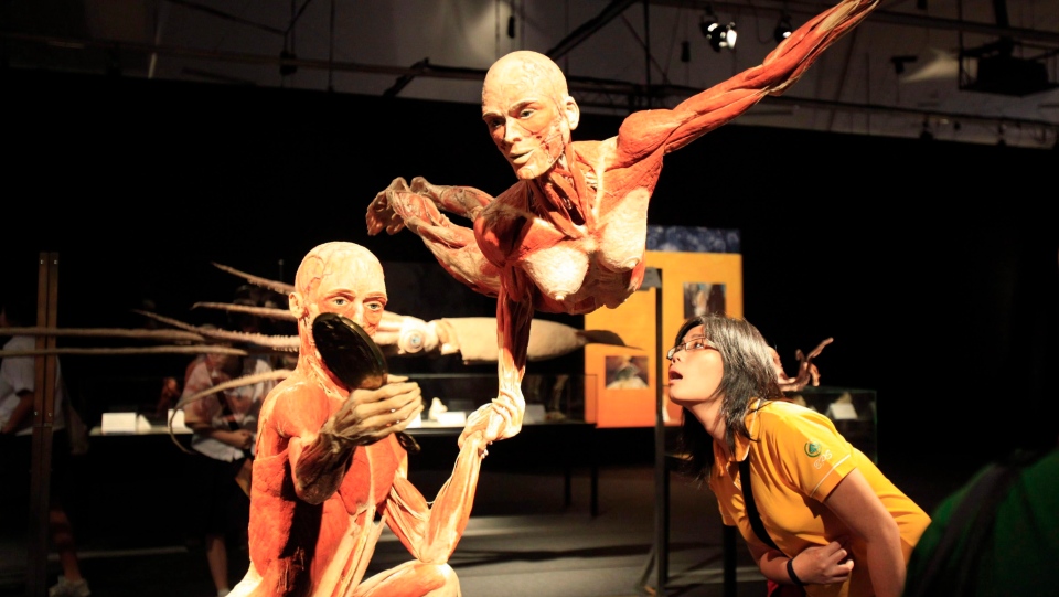 Human Body Exhibition