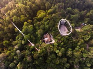 Jungle Experience At The Habitat Penang Hill