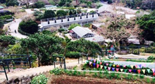 Kadoorie-Farm