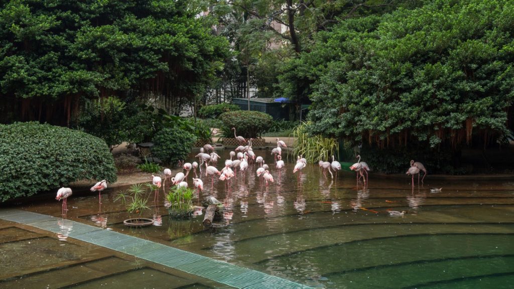 Kowloon-Park-In-Hong-Kong