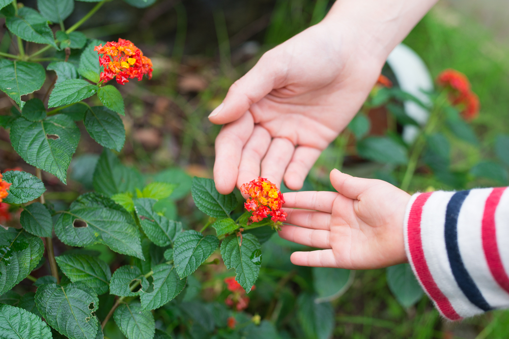 Little Bunnies Outdoor Preschool In Singapore