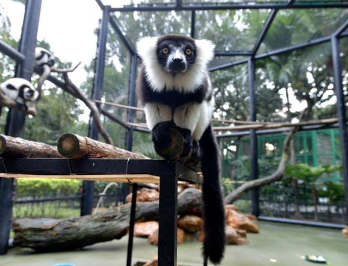 Meet The Zookeepers At The Botanical Gardens - Little Steps Asia
