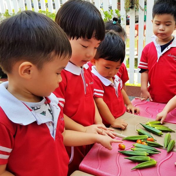 Children Cooking At MindChamps Pre-School Singapore