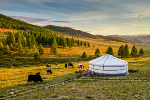 Mongolia 1 Week Itinerary For Families Traveling With Kids